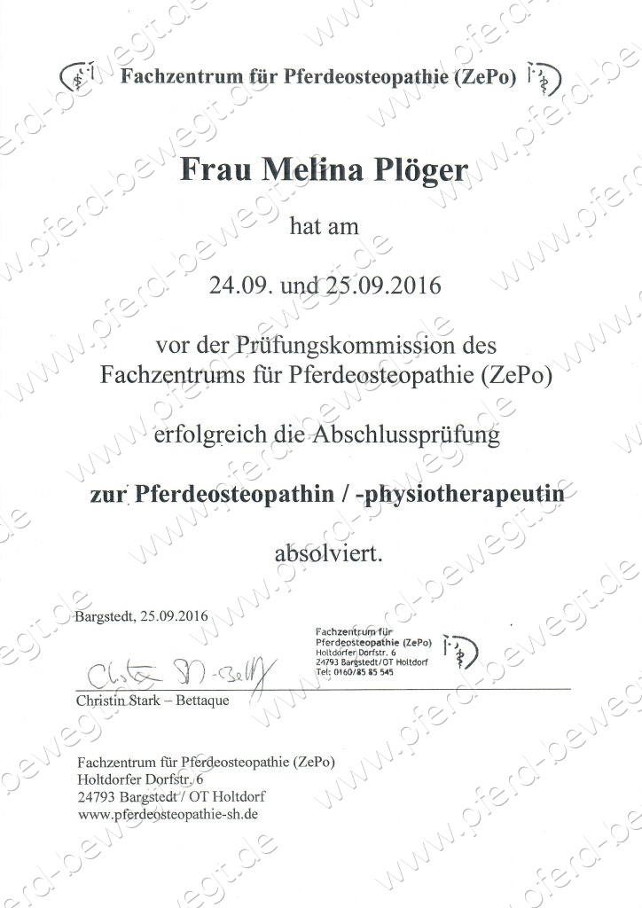 Zertifikat zur erfolgreichen Abschlussprüfung vom 25.09.2016