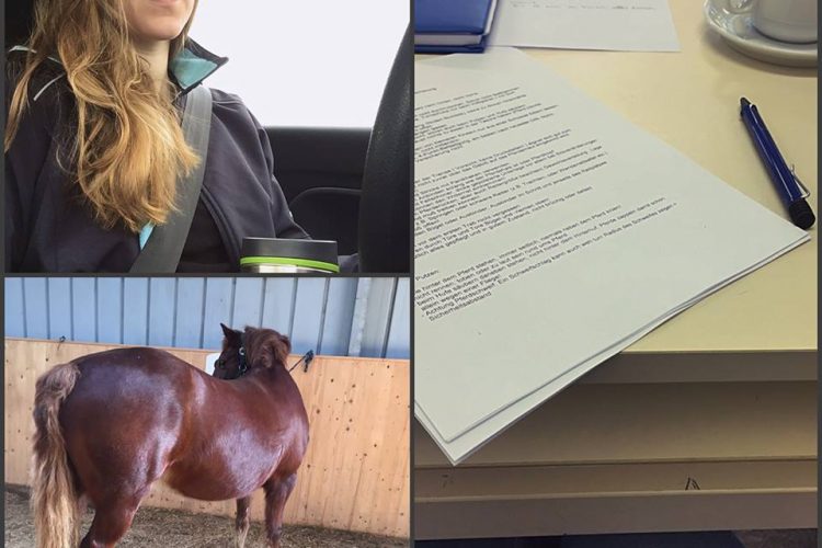 Seminar – Reitkindergarten