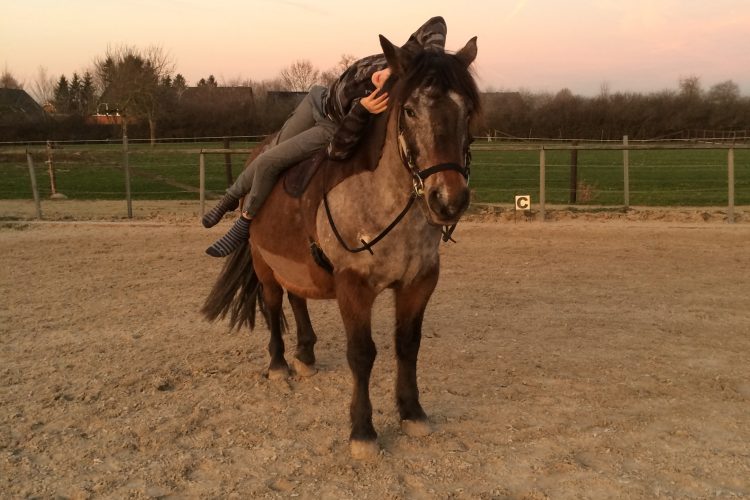 Hochsensibilität-im Reitsport